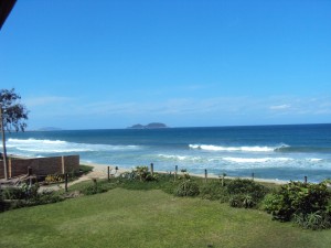 DSC03358            