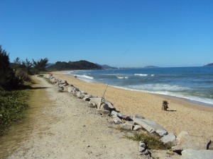 DSC03451         