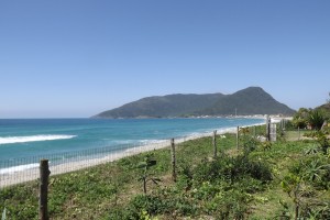 DSCF3478              